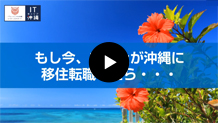 沖縄に移住・転職したくなる理由はここにある！